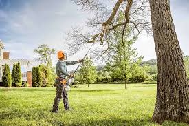 Best Emergency Tree Removal  in Strawberry Plains, TN